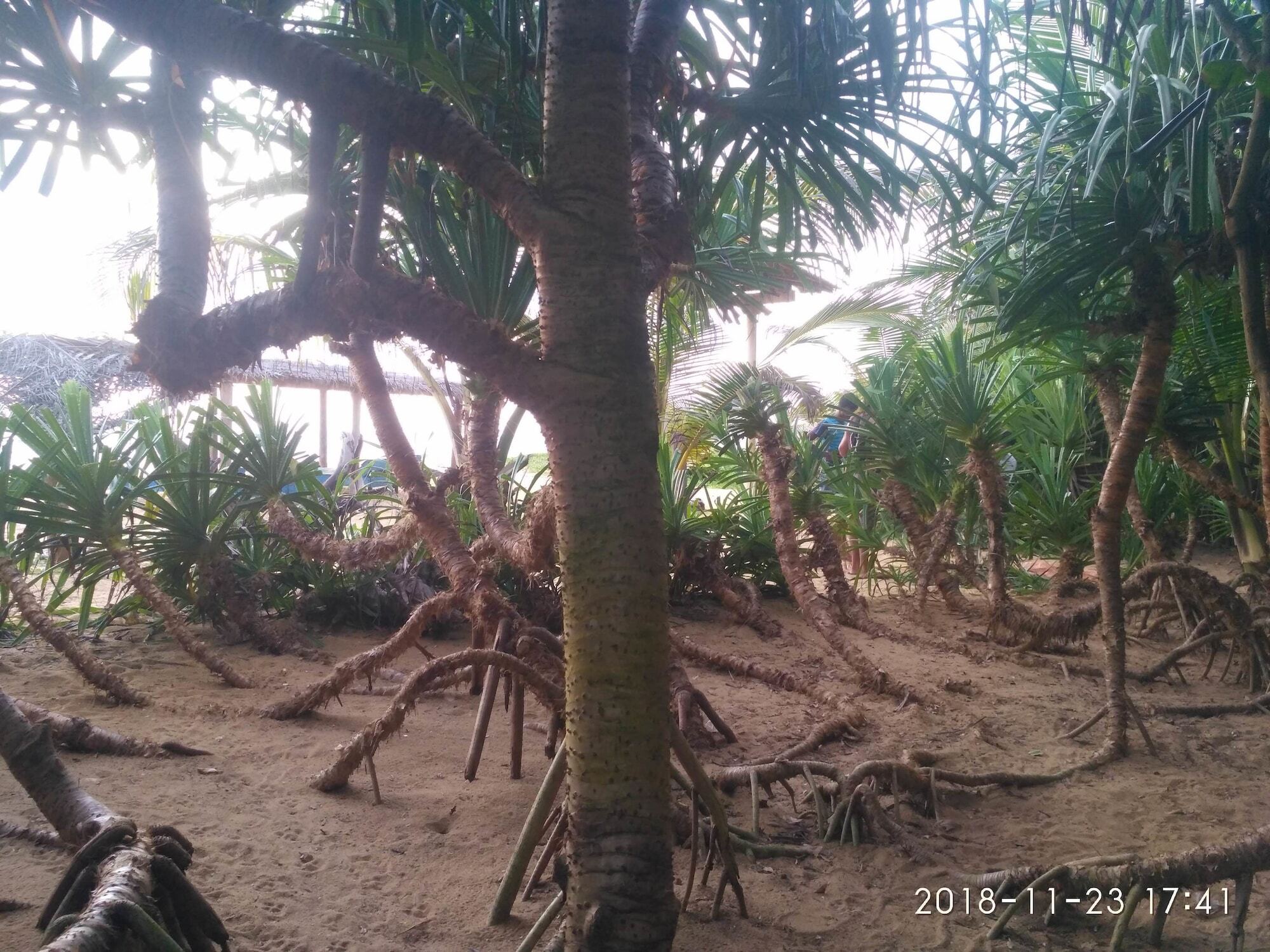 Ravana - Beach Cabanas Hikkaduwa Buitenkant foto